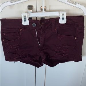 American eagle maroon shorts